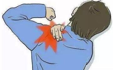 Shoulder Support Brace