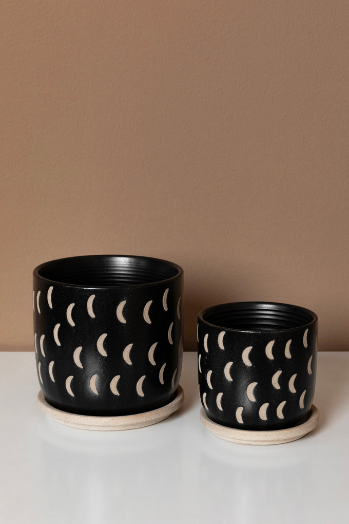 Midnight Dreams Planter Set