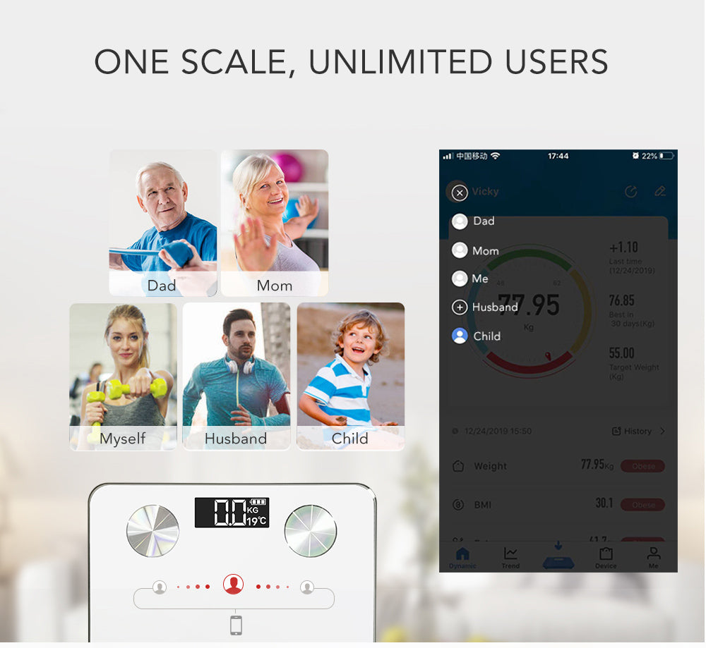 One scale for many users