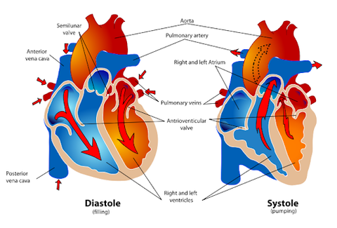 systolic blood pressure