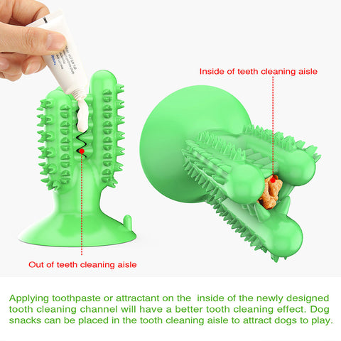 Un Cepillo de Dientes que se Convierte en un Juguete Divertido