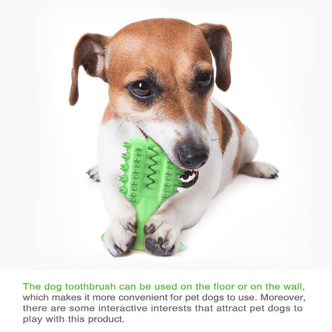 El Cepillo de Dientes Perfecto para Perros Grandes