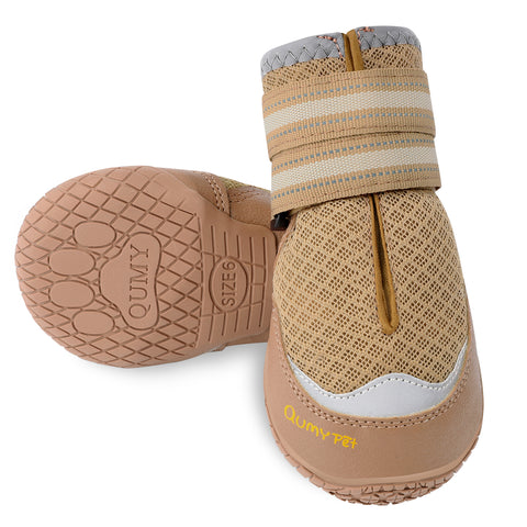dog shoes
