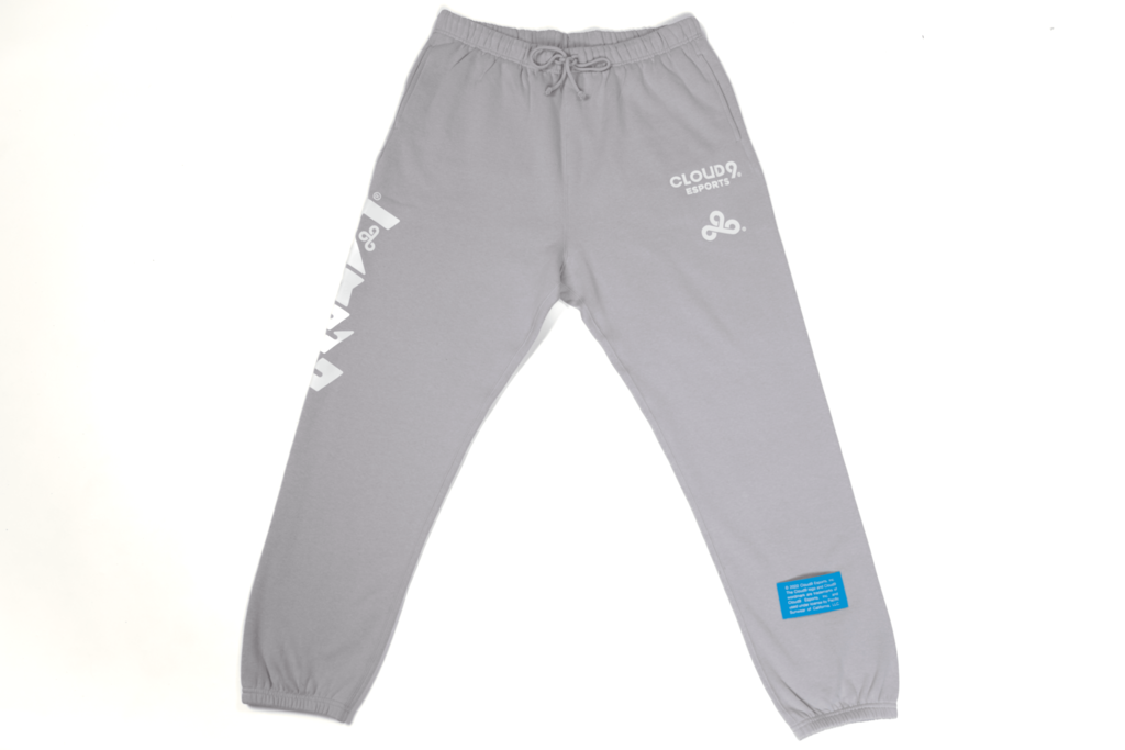 Cloud9 x PacSun Future Sweatpants. Gray