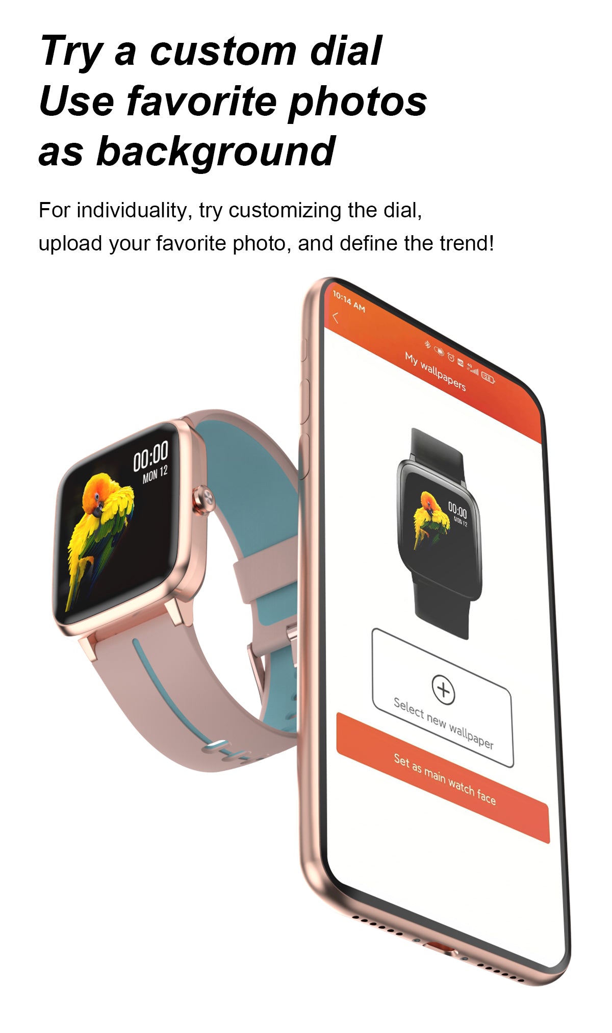 gps blulory glifo 5 pro