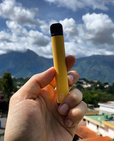 How much is the puff plus? | Puff Bar Studio