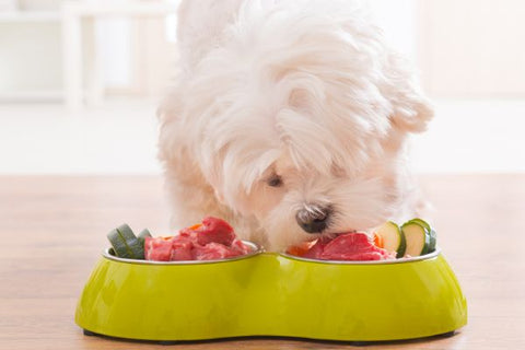 Can Dogs Eat Raw Vegetables?