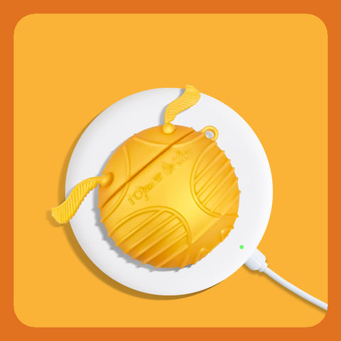Casetify Harry Potter Limited Edition Golden Snitch AirPods