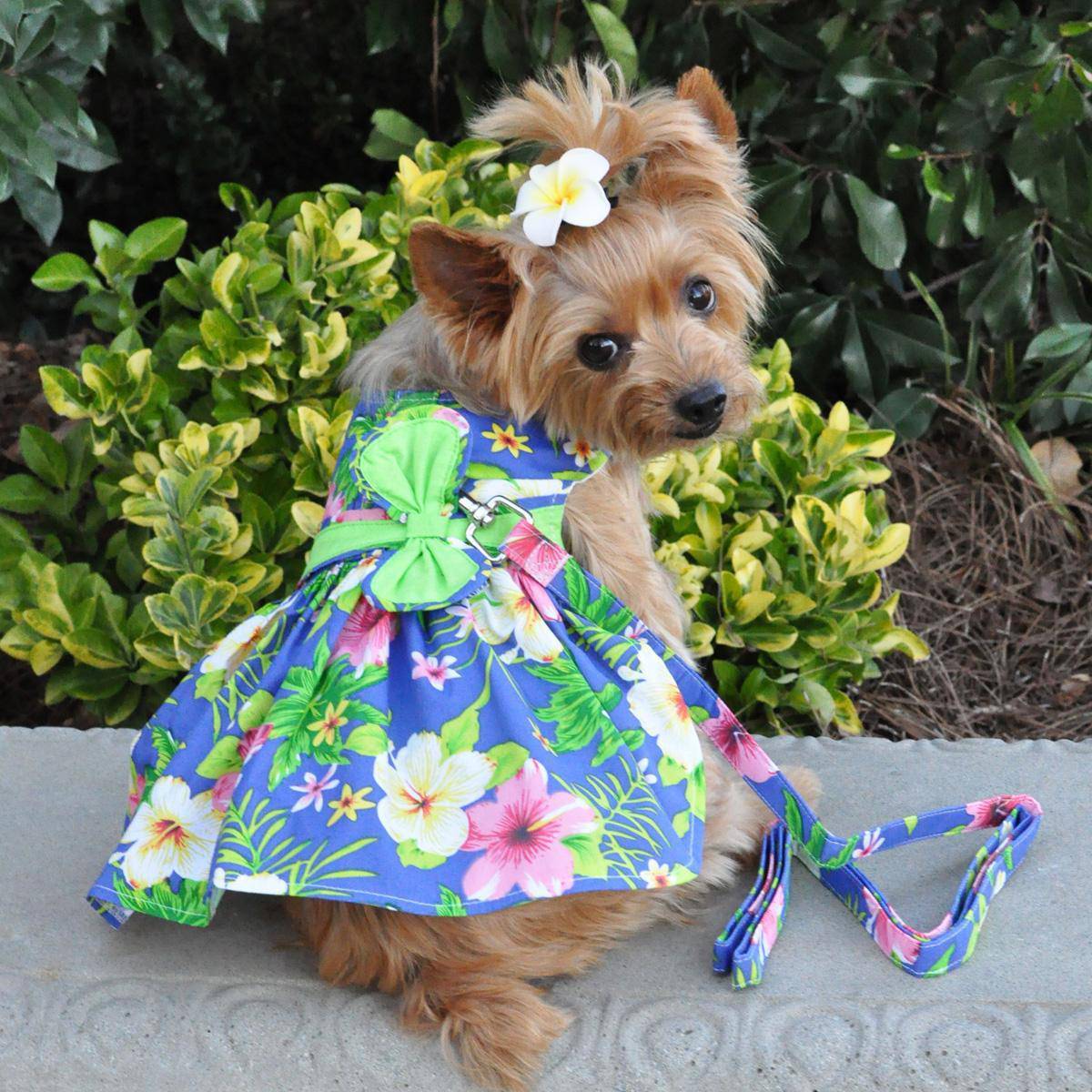 Blue Lagoon Hawaiian Hibiscus Dog Dress with Matching Leash