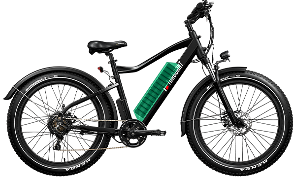 T1/N1 Fat Tire Electric Bike | Turboant
