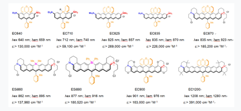 EC series near-infrared fluorescent dyes for enhanced biomedical imaging, developed by Professor Yang Youjun’s team