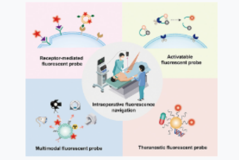 intraoperative fluorescence navigation using near-infrared fluorescent dyes for tumor detection
