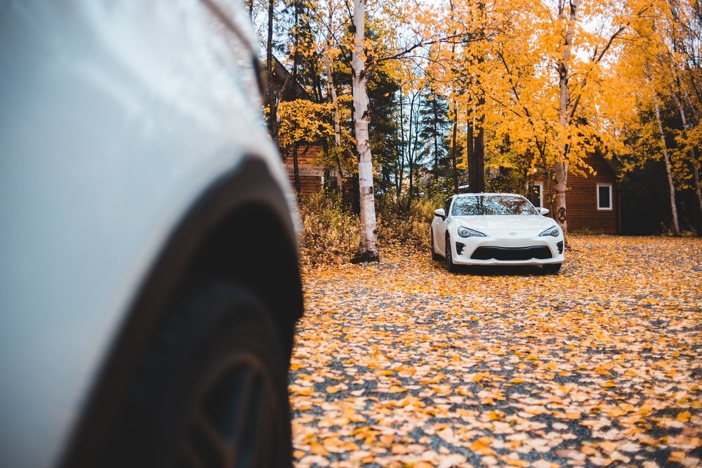 Paint By Numbers | Badger - White Coupe Parked Under Brown Trees