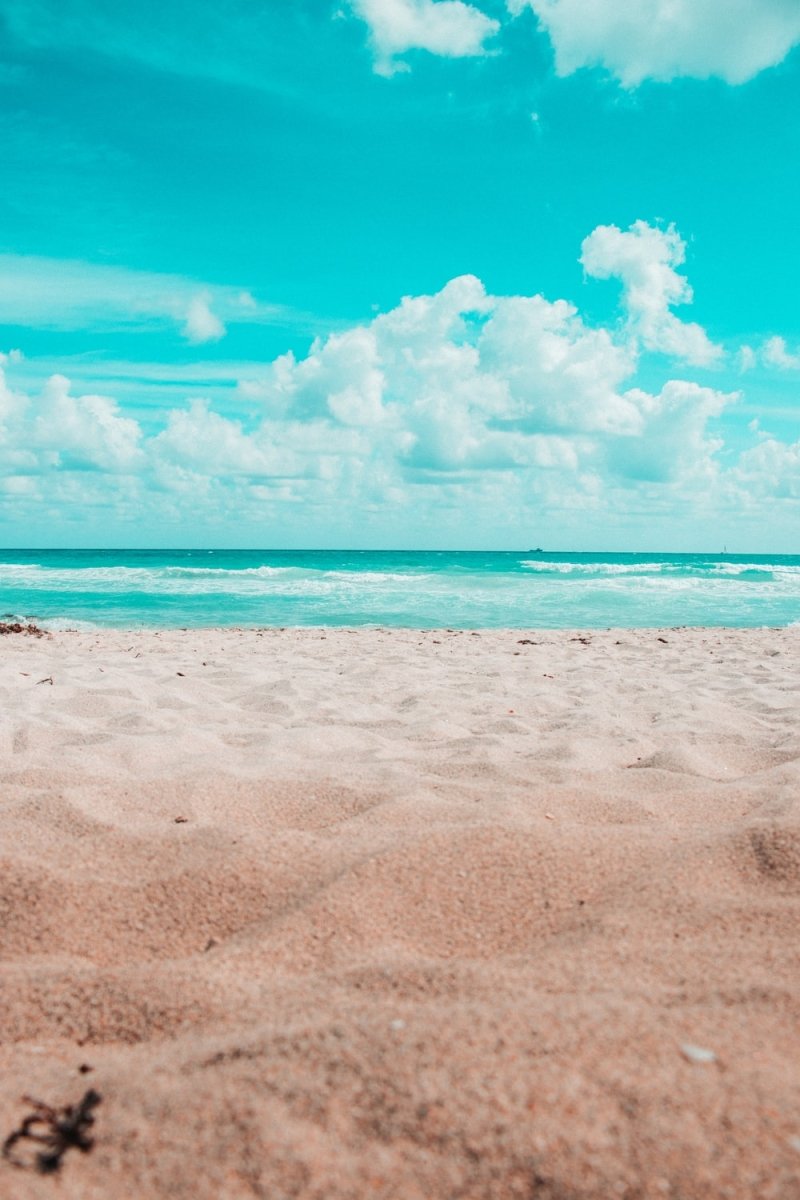 Paint By Numbers | Miami - Beach Under Blue Sky And White Clouds During Daytime