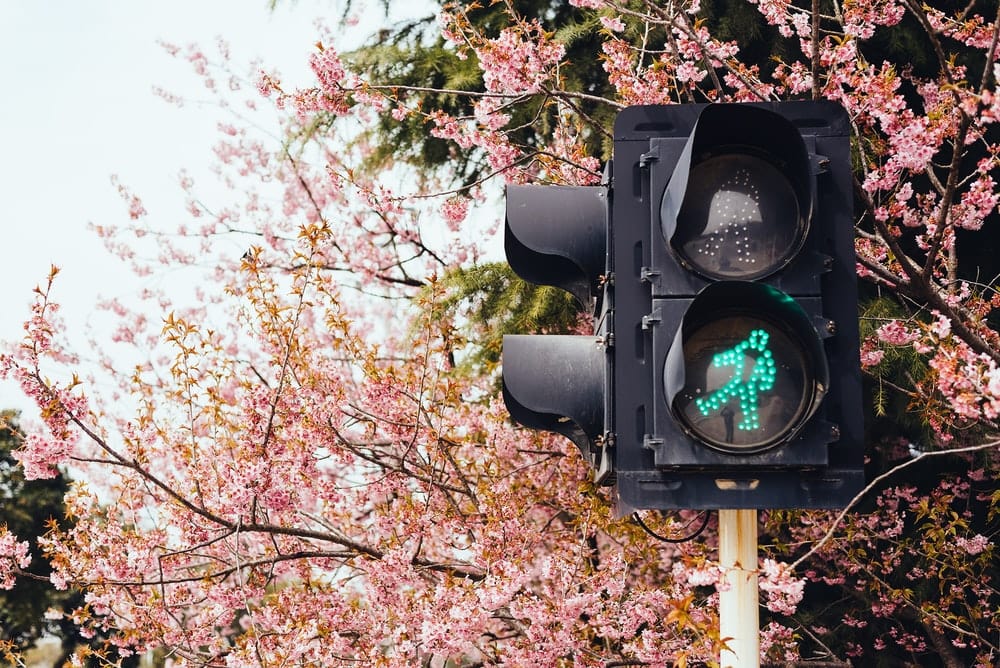 Paint By Numbers | Yangzhou - Black Traffic Light On Green Light