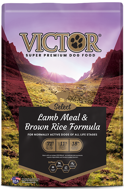 Victor Select Lamb Meal & Brown Rice Dry Dog Food