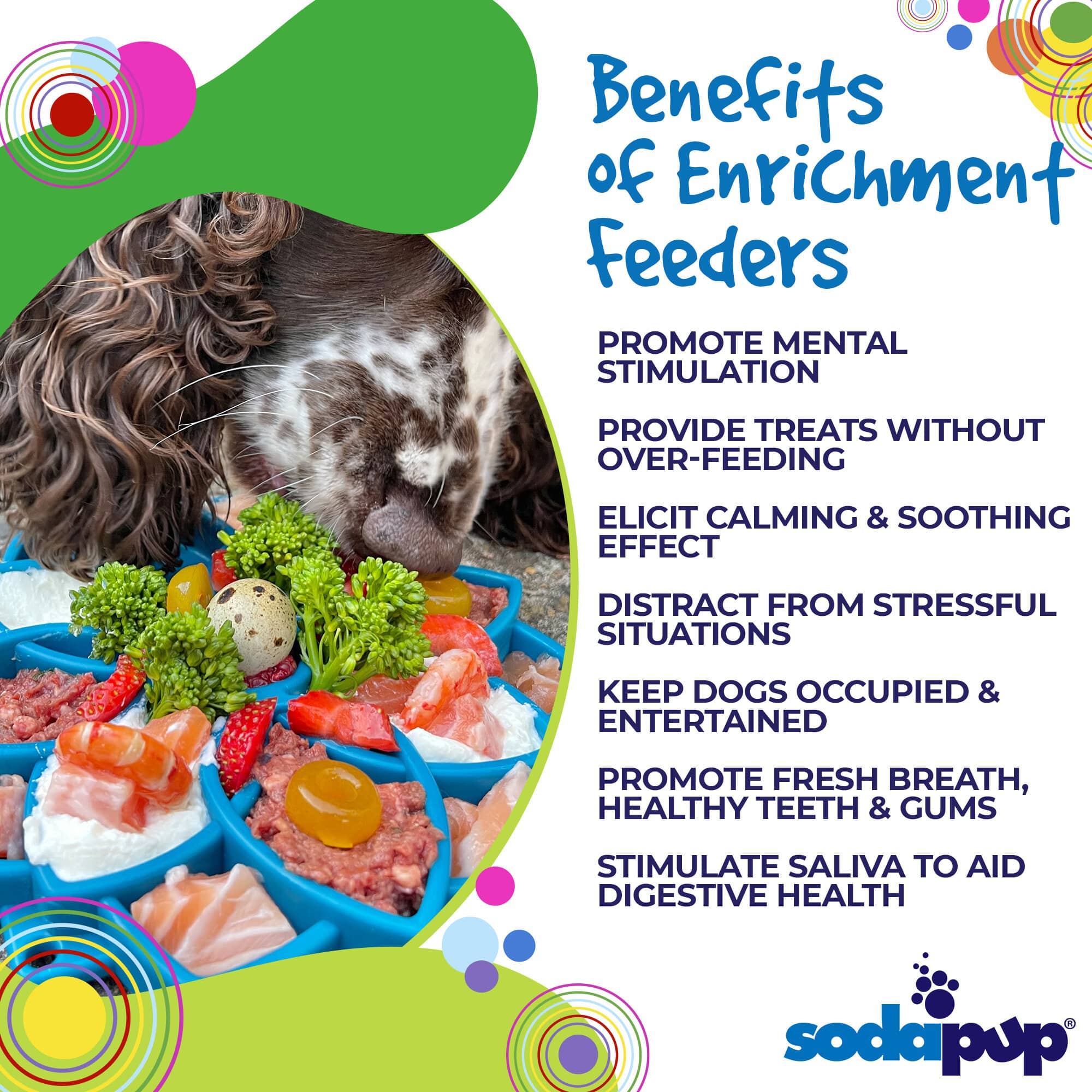 SodaPup Mandala Design Etray Enrichment Tray For Dogs