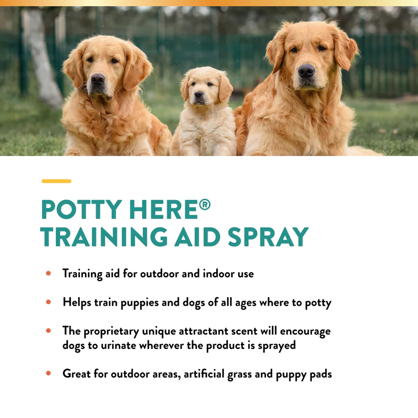 NaturVet Potty Here? Training Aid Spray
