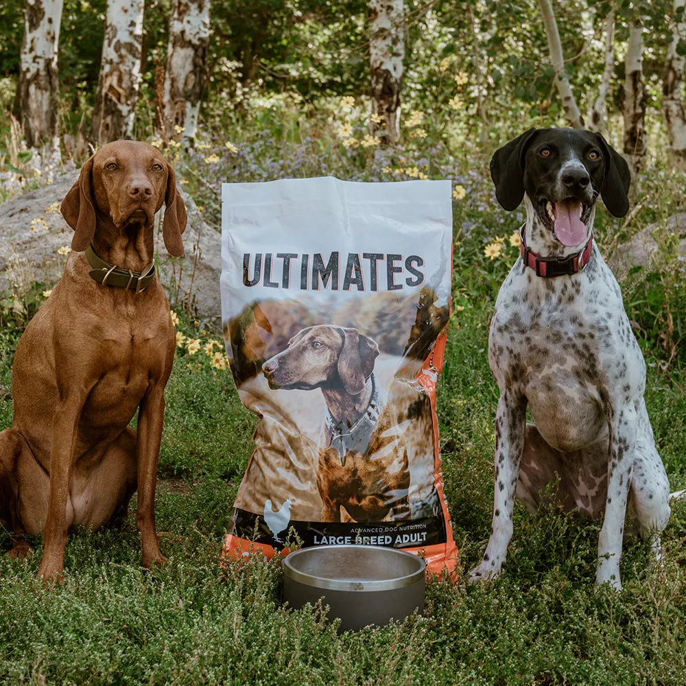 Ultimates Large Breed Adult Dry Dog Food 28-lb, Chicken Meal And Rice