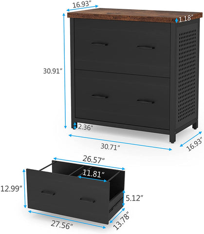 Tribesigns File Cabinet, Lateral Filling Cabinet with 2 Large Drawers