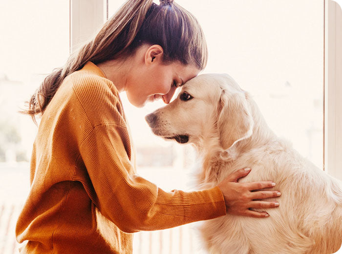 People and pets playing