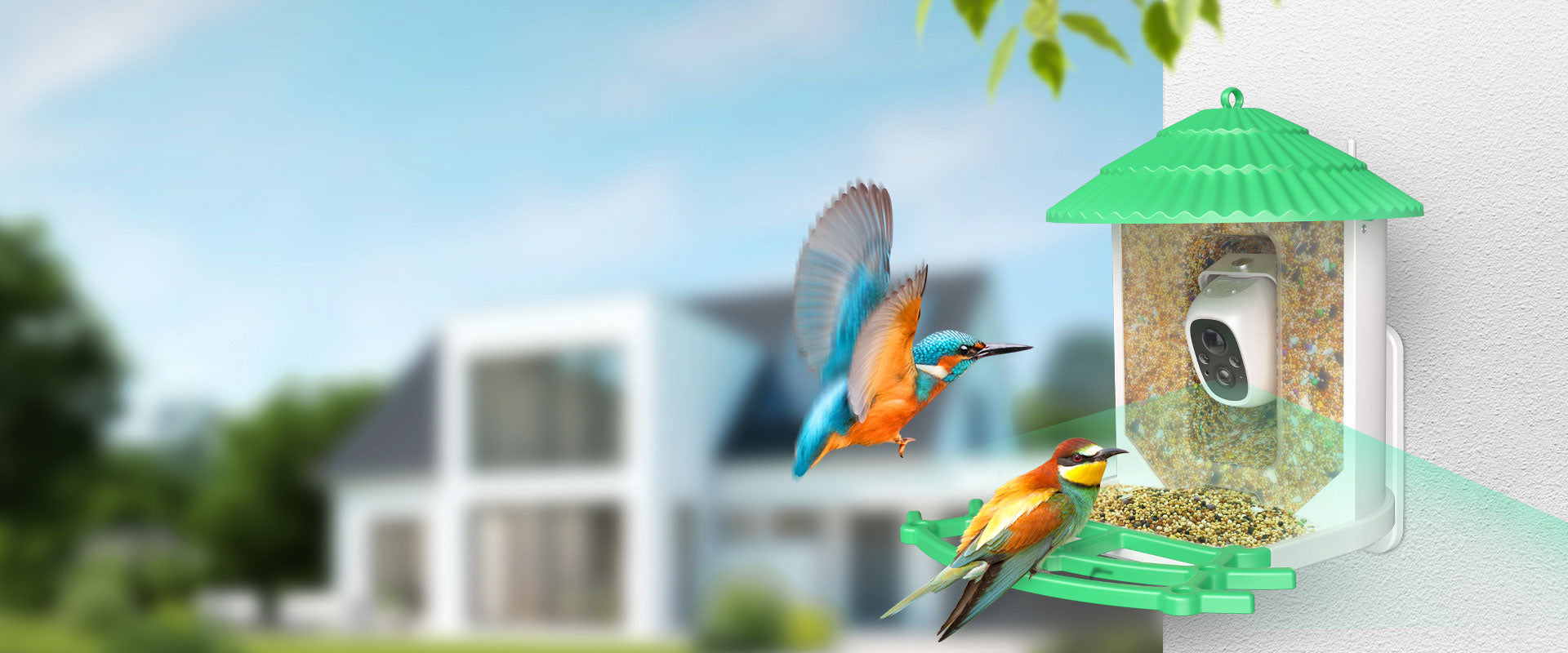 dokoo Smart Bird Feeder with Camera