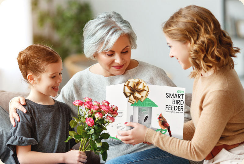 Backyard Bird Feeders for Family Gift