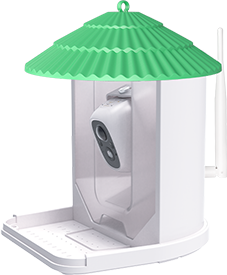 Dokoo bird feeder camera