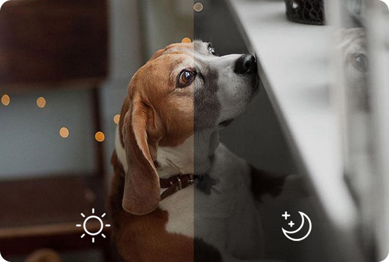 Dokoo Dog Camera Treat Dispenser color night vision