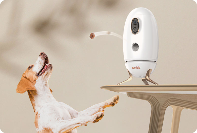 Dokoo Dog Camera Treat Dispenser Toss a treat to your dogs