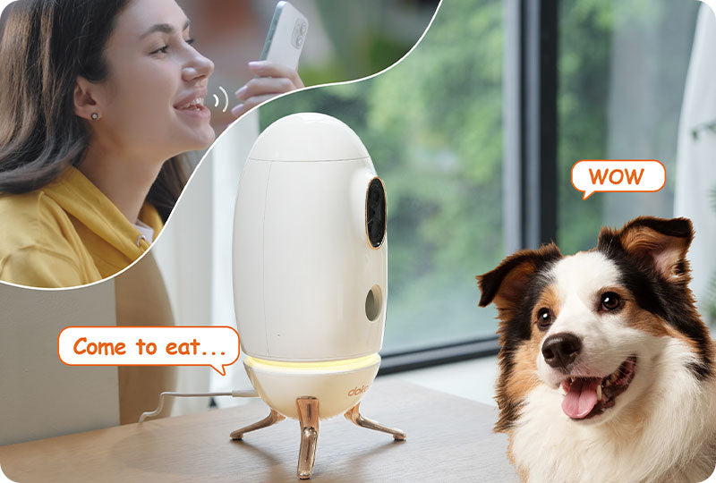 Dokoo Dog Camera Treat Dispenser support 2-Way Audio