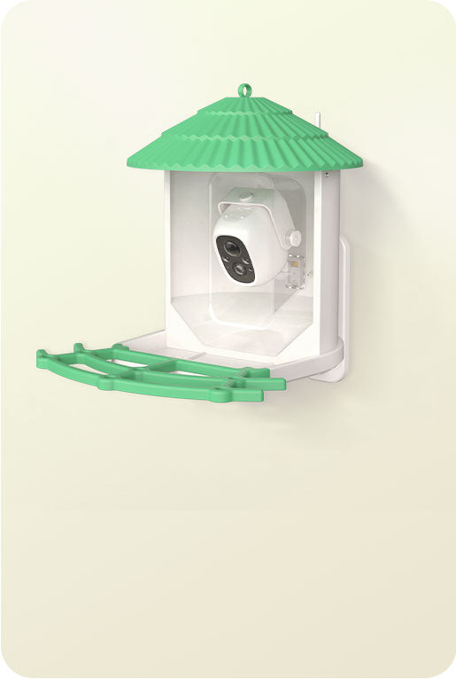 Dokoo Smart Bird Feeder Camera Feed, Watch and Record Birds All In One