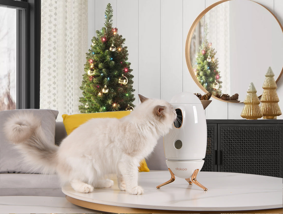 Dokoo Pet Dog Camera Treat Dispenser with cat