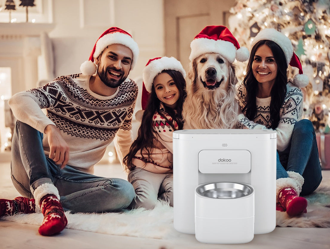 dokoo large dog pet feeder as christmas gift for home