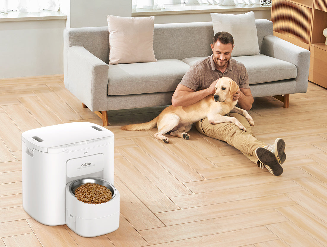 dokoo large dog pet feeder 