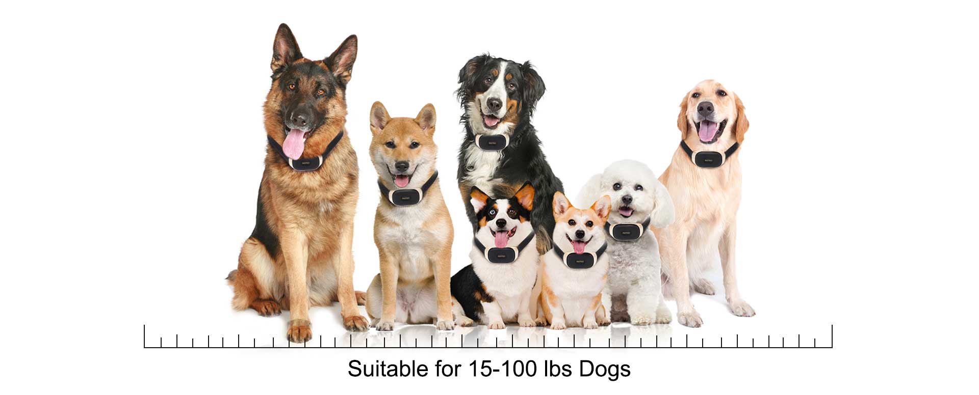 326-dog-training-collar-for-15lbs-to-100lbs