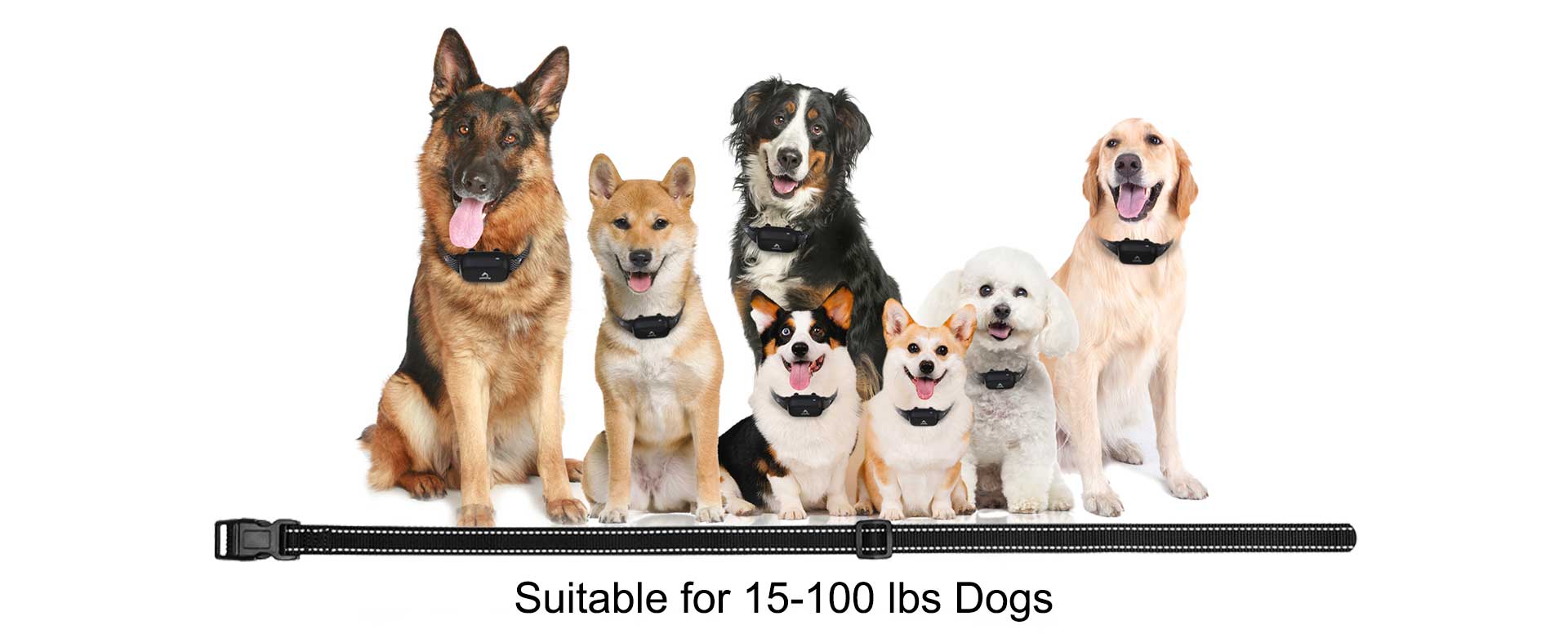 370-Dog-Training-Collar-for-15lbs-to-100lbs