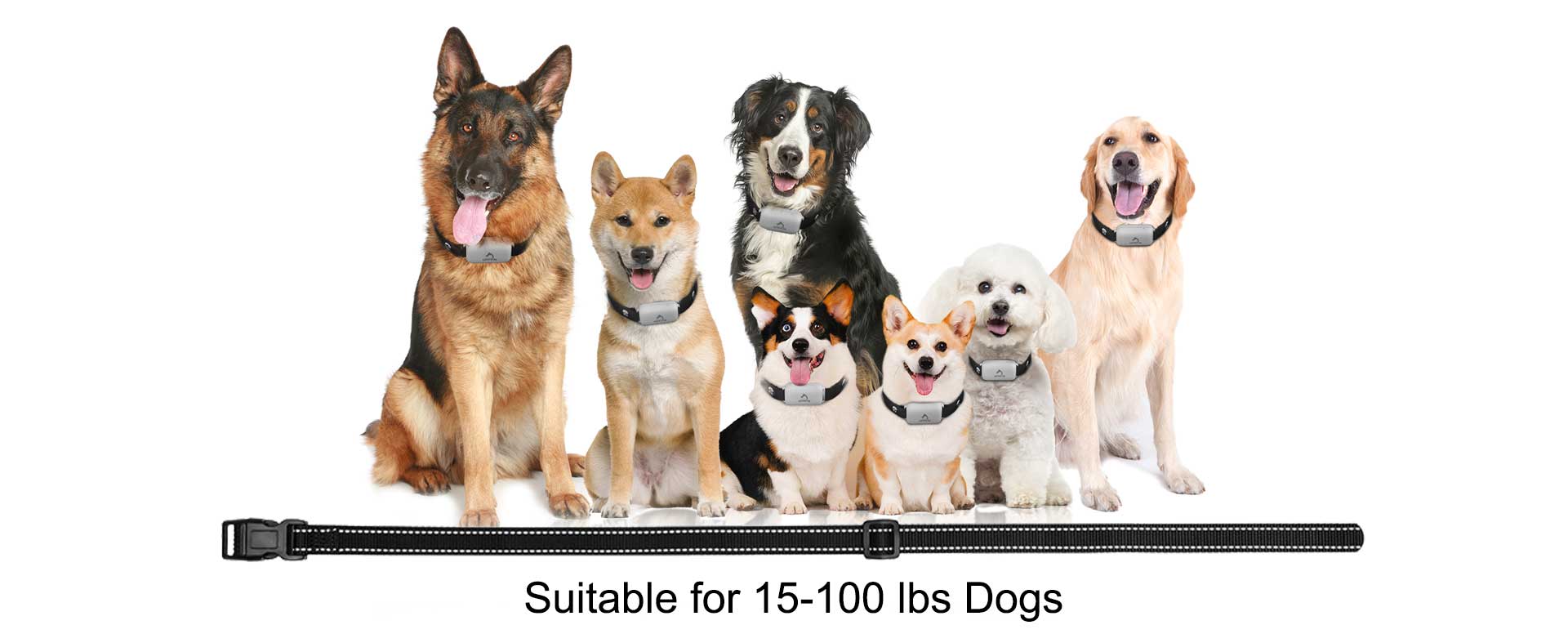 650-dog-training-collar-for-15lbs-to-100lbs