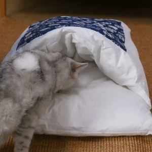 Movable Winter Warm Cat House
