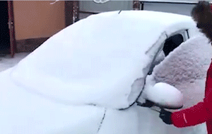 CAR WINDSHIELD SNOW COVER SUNSHADE