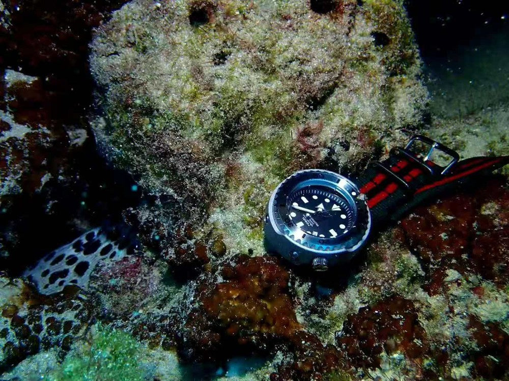 heimdallr-tuna-1km