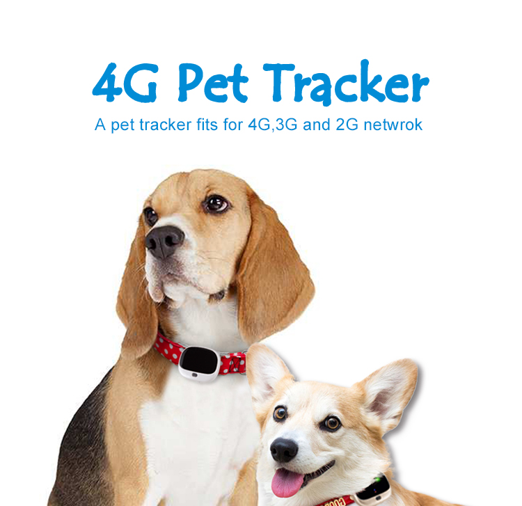 rastreador de mascotas 4g V43