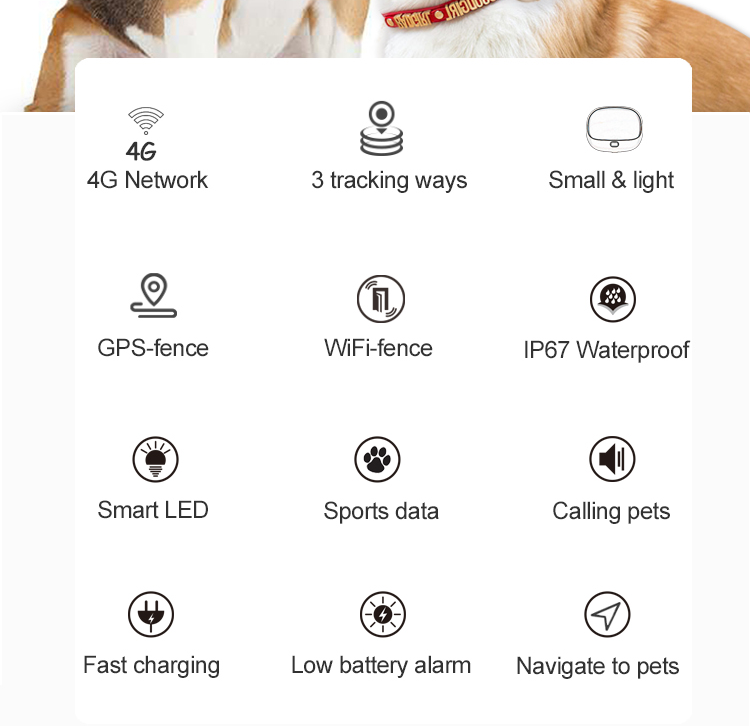 rastreador de mascotas 4g V43