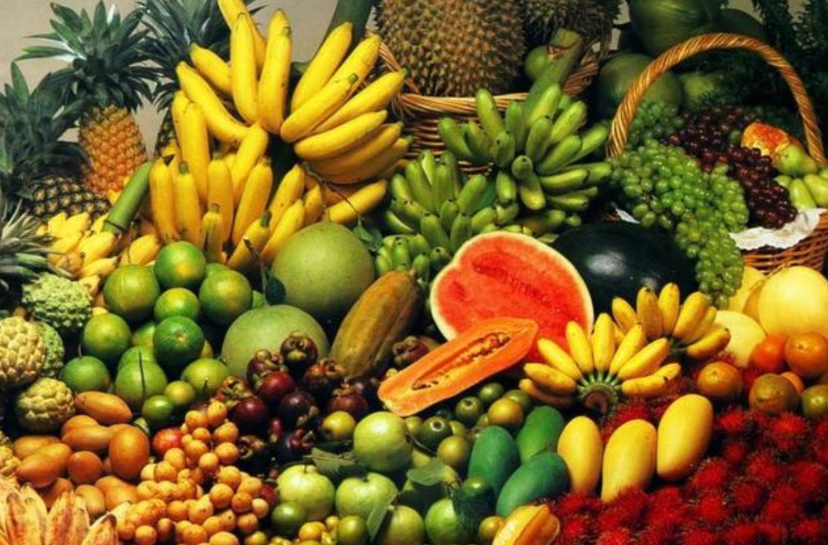 transporte da cadeia de frio