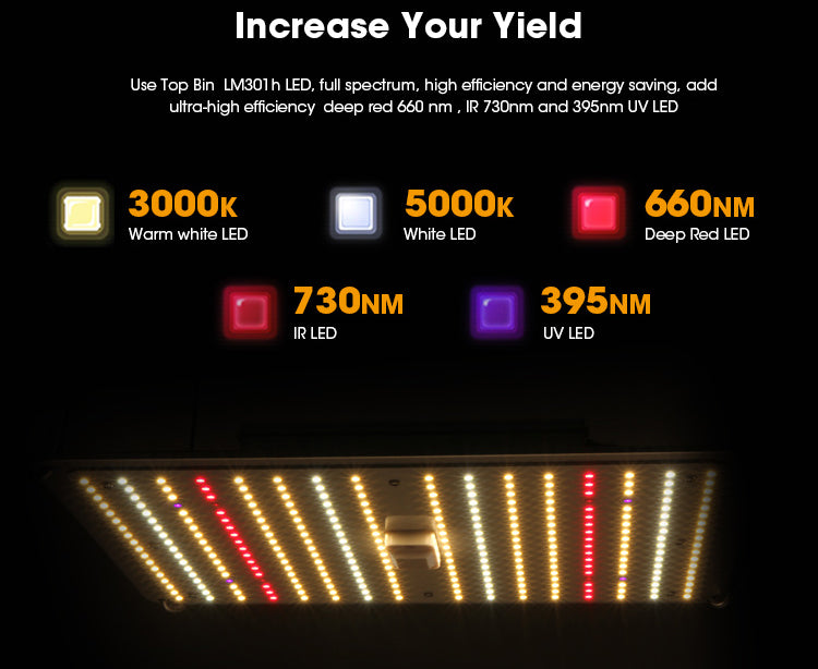 ParfactWorks-Quantum-Boards-PT120-full-spectrum
