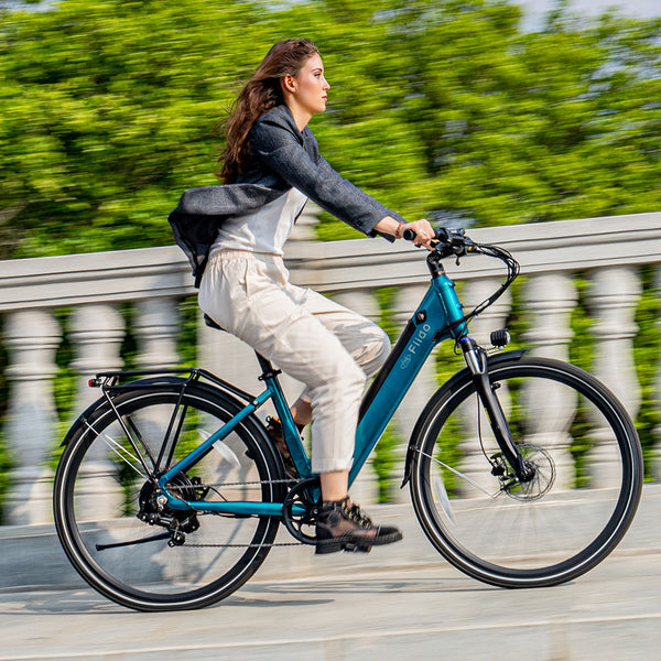 Fiido C11 urban electric bike