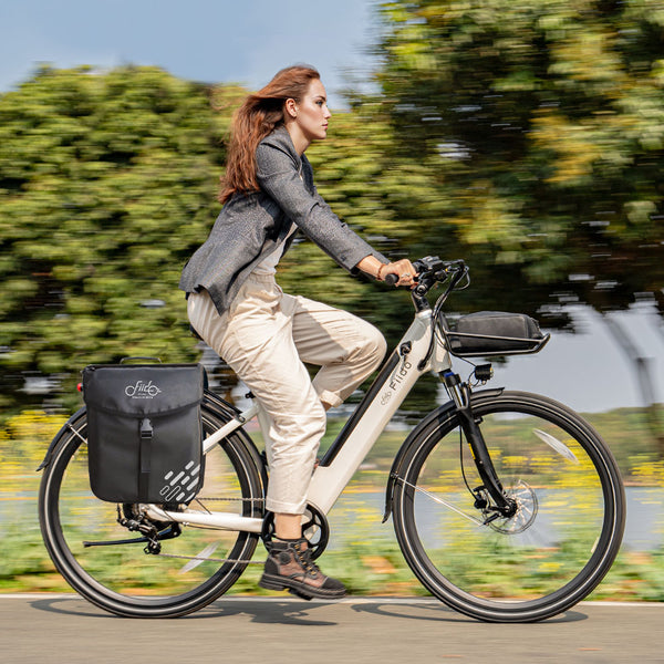 Fiido C11 electric commuter bike