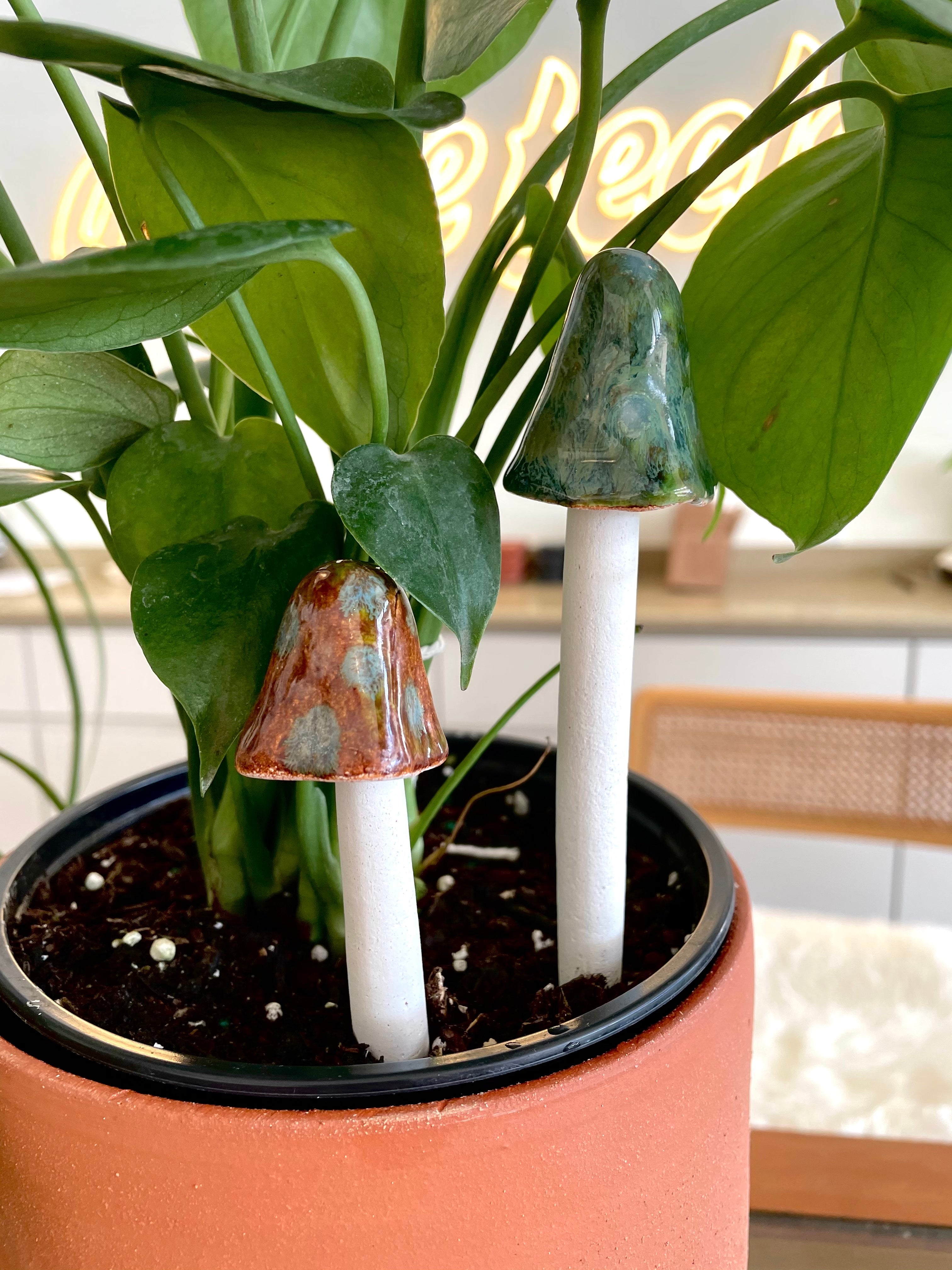 Mini Plant Mushrooms - Set of 3