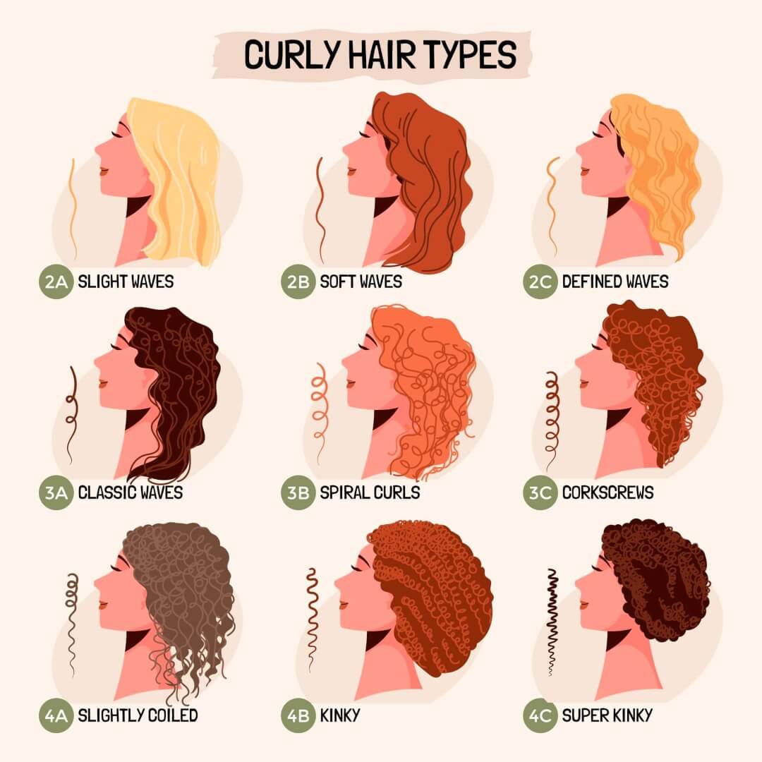 curly hair types chart