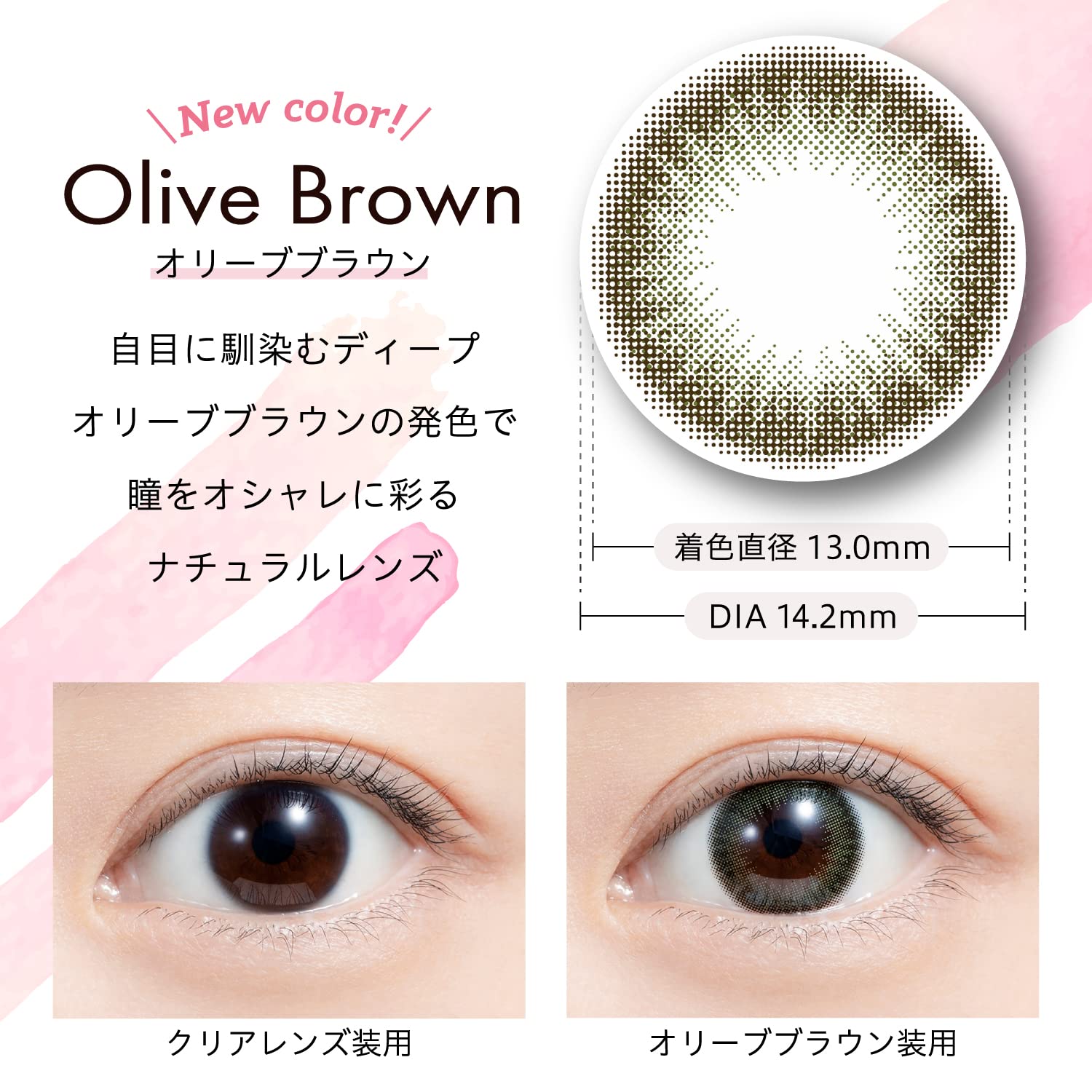 We Rejoice Color Contacts Feliamo Mai Shiraishi One Day 10Pcs Olive Brown Prescription -4.75 Japan